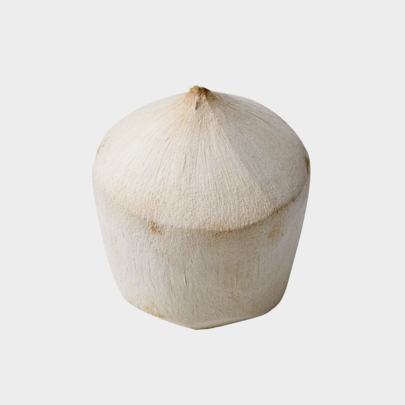 Young Thai Coconut Meat